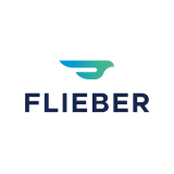 Flieber's logo