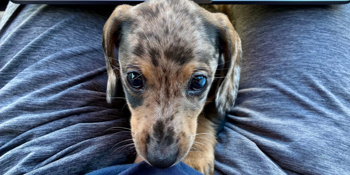 AI answer engines like ChatGPT change how we get information, reducing traffic to traditional websites and impacting the information economy.