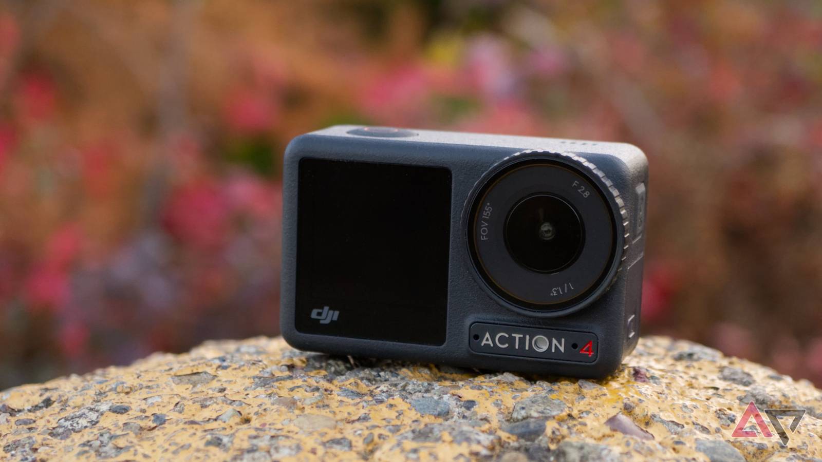 Lowest price we've seen, plus tons of extras