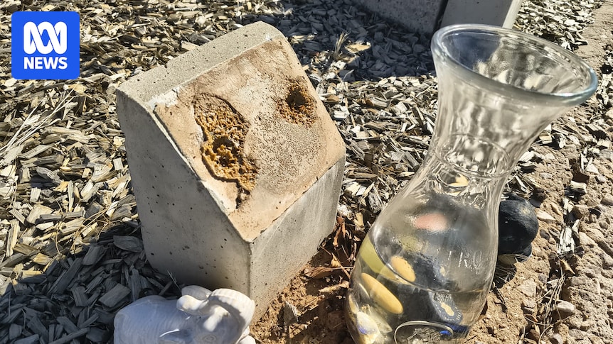 An estimated 100 memorial plaques have been forcibly removed from two South Australian regional cemeteries, causing significant distress to loved ones.