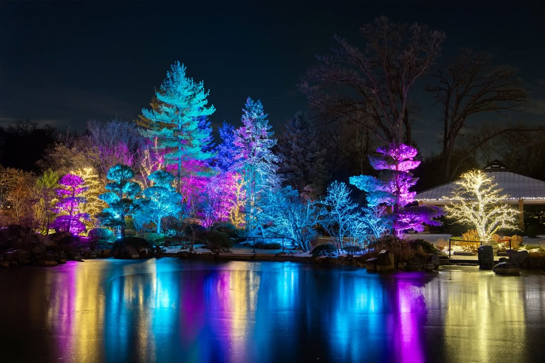 Want to make your outdoor space glow long after the sun goes down? These 30 outdoor lighting ideas are cozy, creative, and captivating — perfect for boosting ambiance, highlighting your landscape, and turning every evening outside into something a little more…