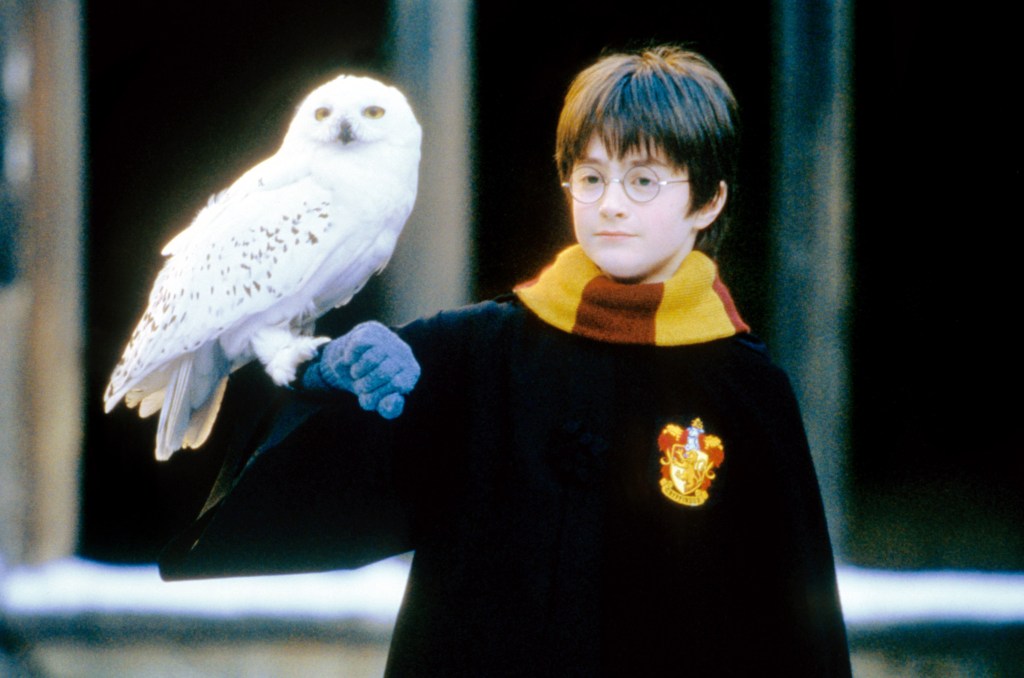 A reconceived version of Harry Potter and the Sorcerer’s Stone will be released at Cosm’s Los Angeles, Atlanta and Dallas “shared reality” venues on May 7. The company and its partners tell Deadline that tickets are due to go on sale Wednesday at 10 a.m. PT. …