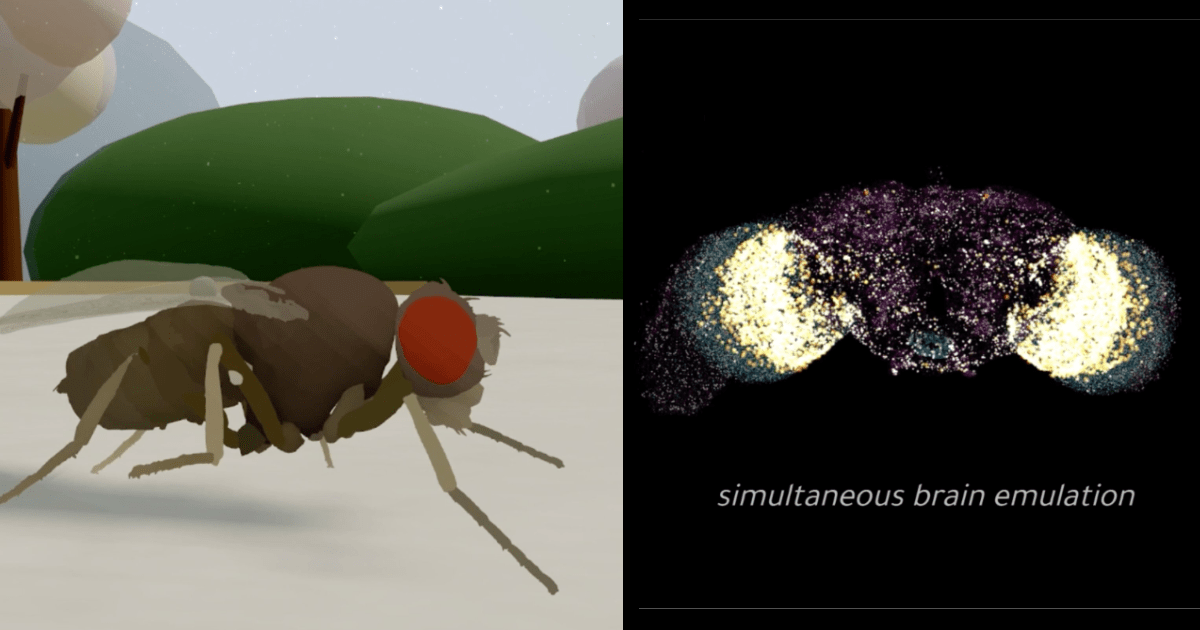 Solving the brain emulation problem so that humans can flourish in a world with AI superintelligence.