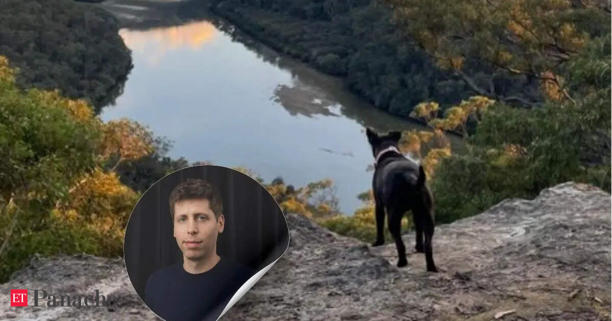 An Australian businessman, Paul Conyngham, used AI tools like ChatGPT and AlphaFold to develop a personalized mRNA cancer treatment for his dog, Rosie.  This remarkable endeavor, which involved collaboration with scientists and veterinarians, has sparked disc…